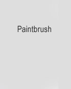 Paintbrush