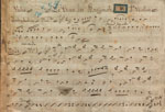 Le chant des rossignols