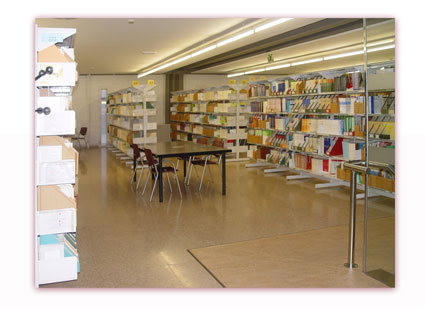 FONS DE LA BIBLIOTECA 