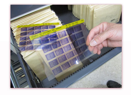 FONS DE LA BIBLIOTECA 