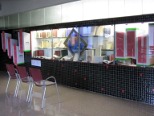 Vista de l'exposici presencial