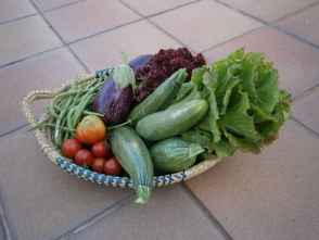 vegetables