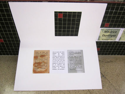 exposició presencial