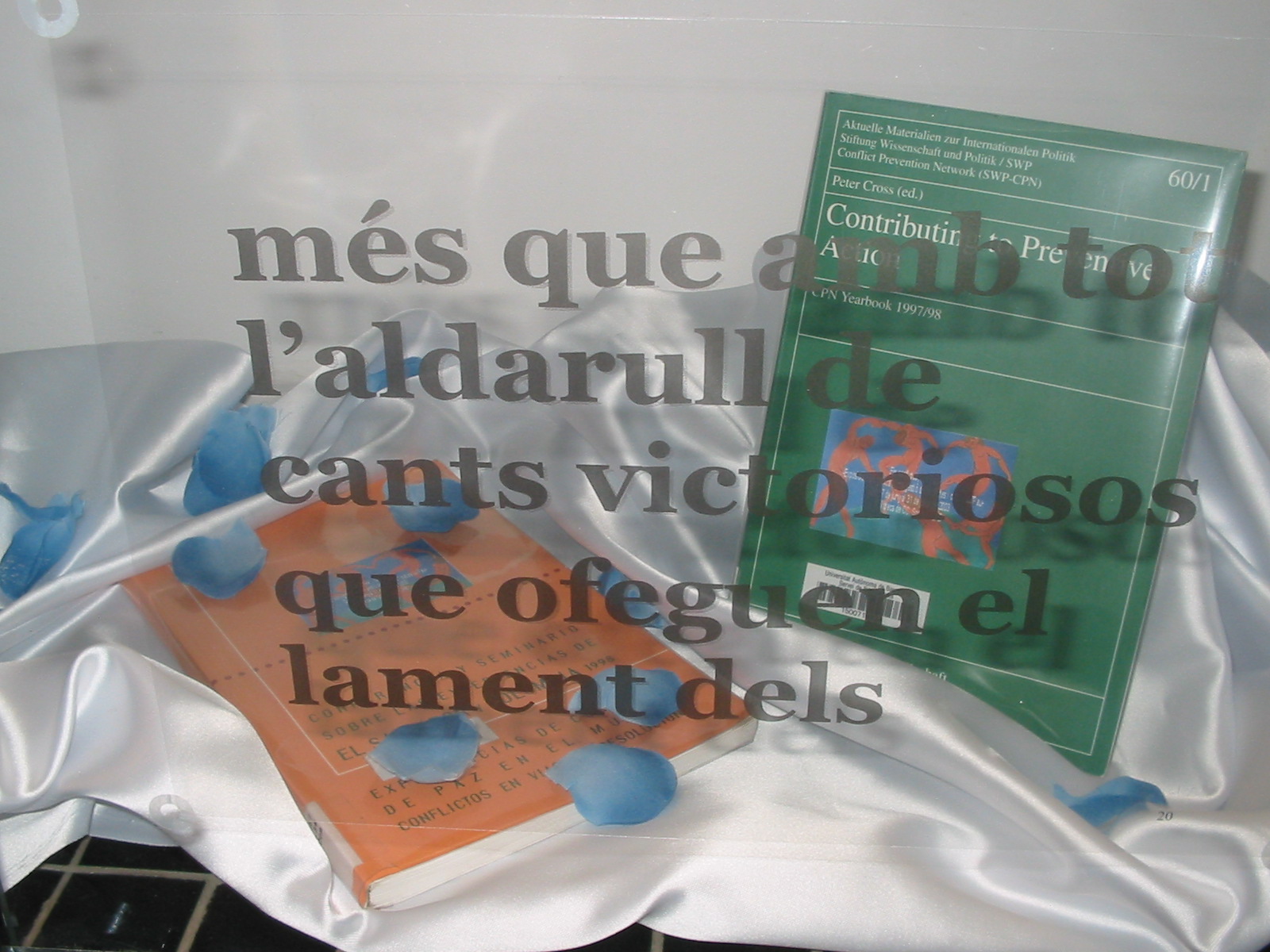 Imatge de l'exposici�