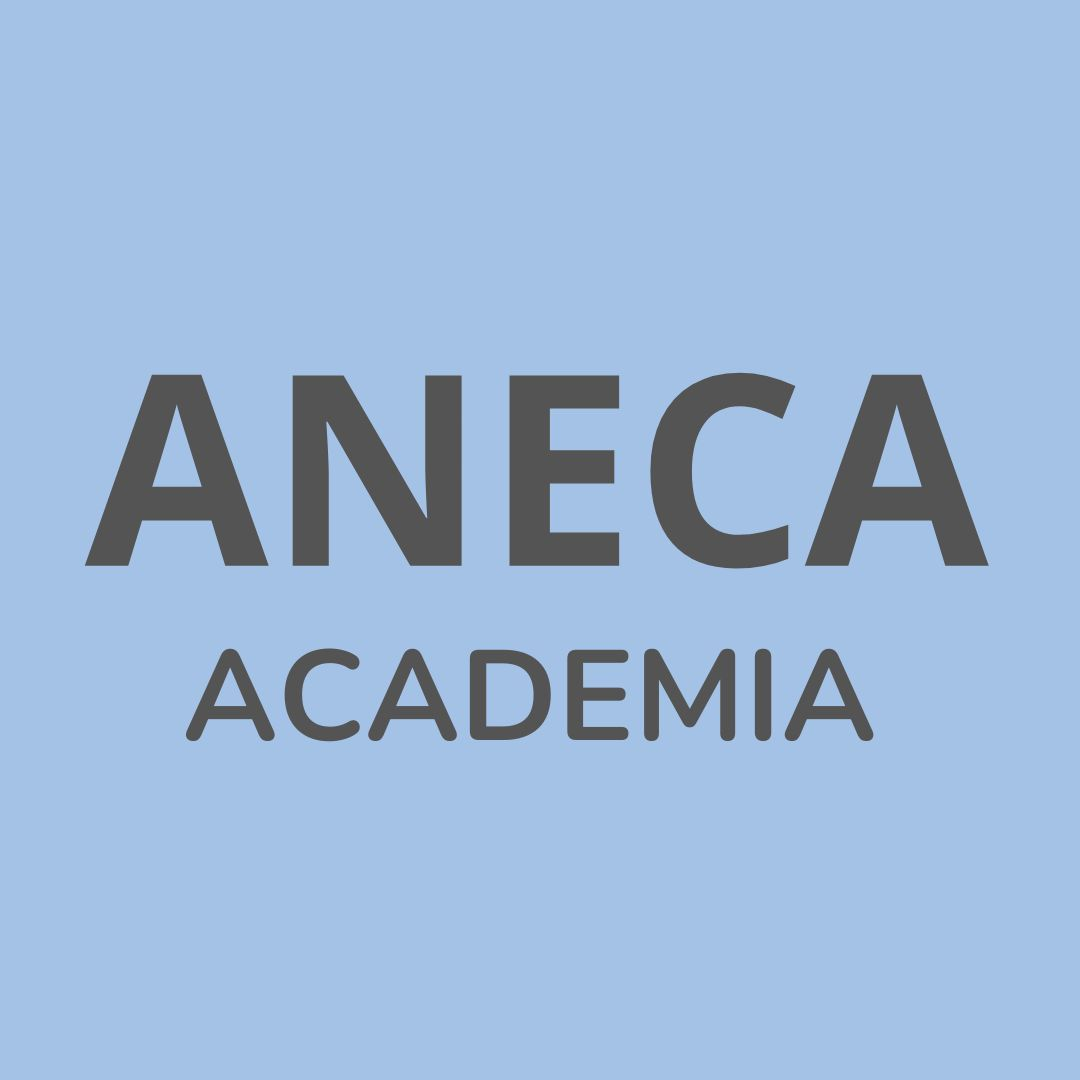 ANECA ACADEMIA